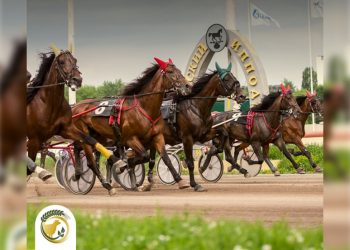 Осенний фестиваль рысаков пройдёт на ульяновском ипподроме