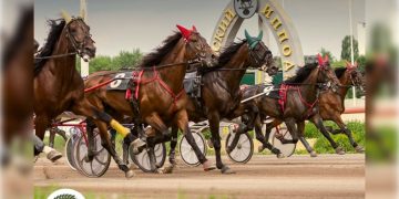 Осенний фестиваль рысаков пройдёт на ульяновском ипподроме