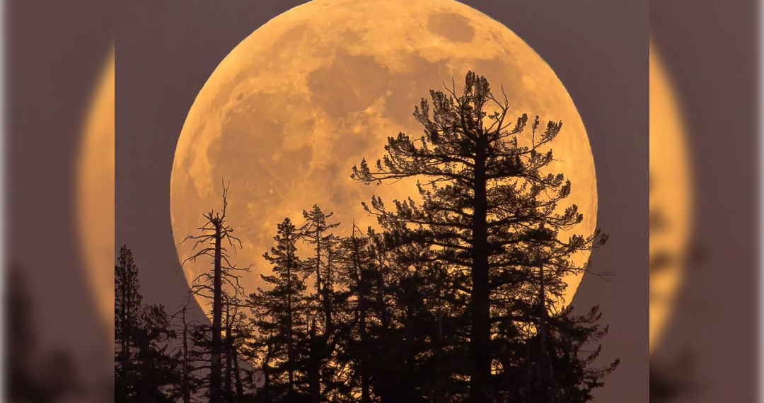 Ульяновцы смогут наблюдать суперлуние 6 и 7 октября