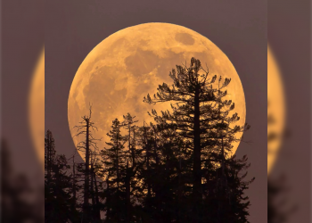 Ульяновцы смогут наблюдать суперлуние 6 и 7 октября