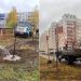41 новое дерево для Ульяновска: где появились молодые липы