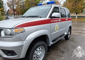 Конфликт у кафе в Димитровграде закончился ударами бутылкой по голове