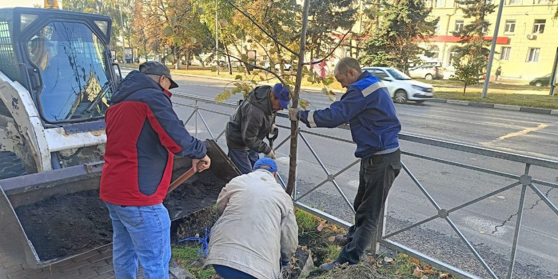 В центре Ульяновска по спецтехнологии высаживают 15-летние липы
