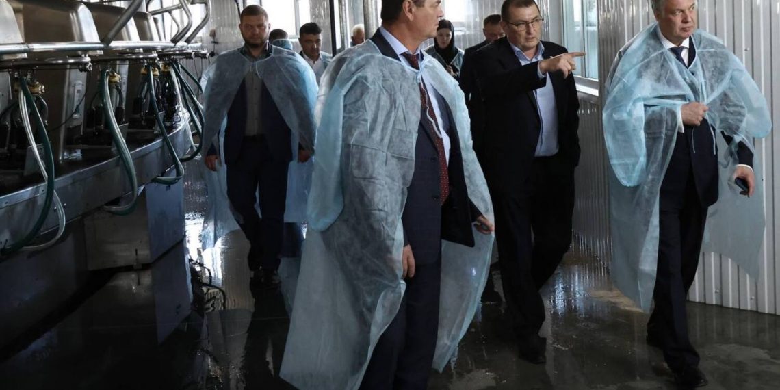 Губернатору Русских показали, где будут жить 2 500 коров в Мелекесском районе