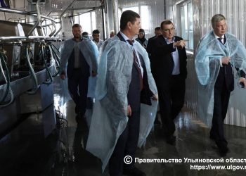 Губернатору Русских показали, где будут жить 2 500 коров в Мелекесском районе