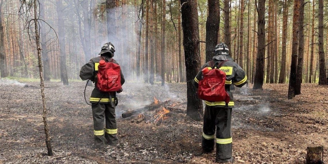 Наивысший пятый класс пожароопасности объявлен в Ульяновске