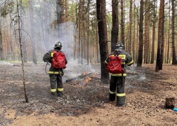 Наивысший пятый класс пожароопасности объявлен в Ульяновске