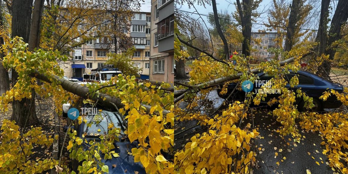 Дерево упало на припаркованную машину в Киндяковке