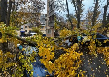 Дерево упало на припаркованную машину в Киндяковке
