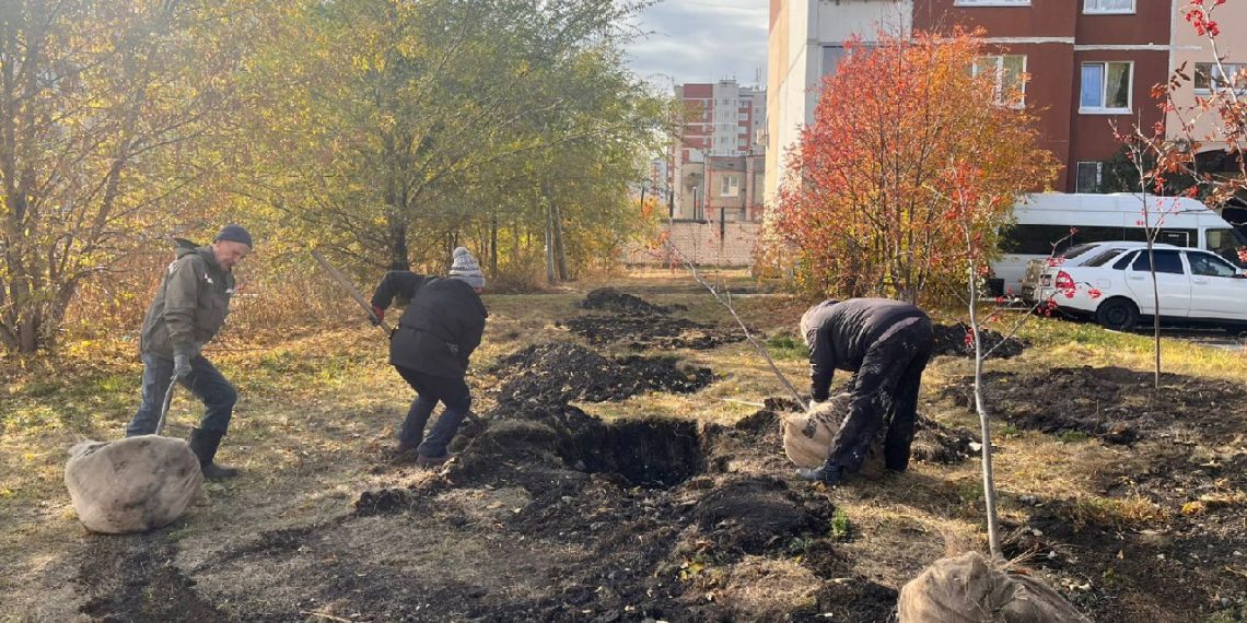 Ульяновск озеленяют липами, березами и рябинами: где и что сажают
