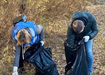Осенние субботники в Ульяновске продлятся до установления снежного покрова