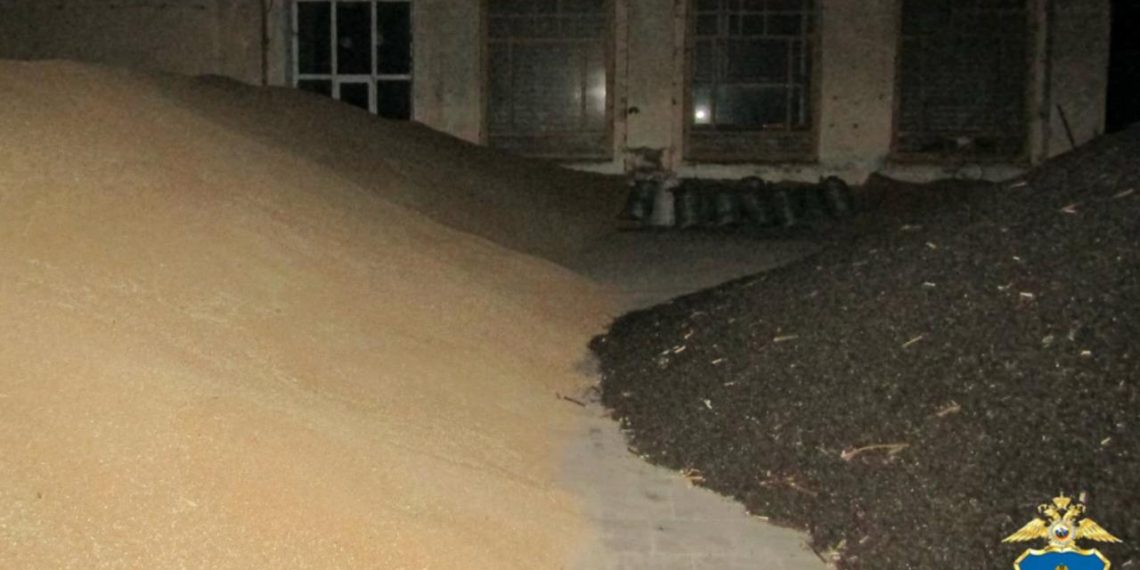 У фермера в Ульяновской области украли 40 тонн семян подсолнечника