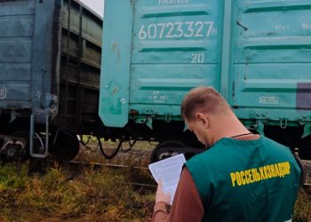 В Ульяновскую область из Дагестана завели 275 тонн ракушек для несушек