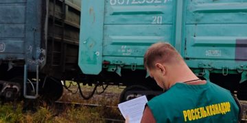 В Ульяновскую область из Дагестана завели 275 тонн ракушек для несушек