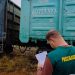 В Ульяновскую область из Дагестана завели 275 тонн ракушек для несушек