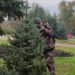 Новые хвойные деревья украсили центр Ульяновска: что и где высадили
