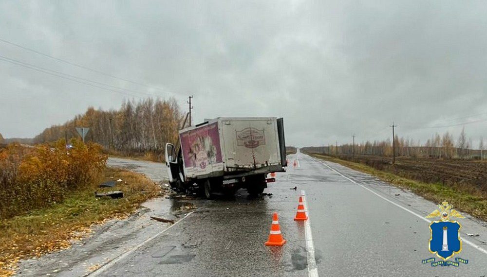 «ГАЗель» и «десятка» жёстко столкнулись на встречке под Ульяновском