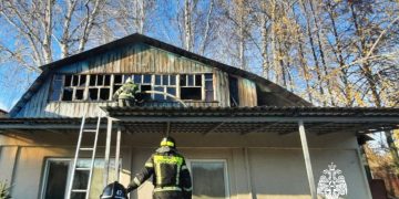 Ульяновские пожарные потушили возгорание в СНТ «Танкист»