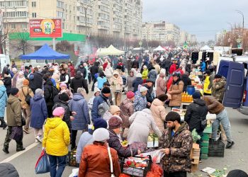 Экономия до 60%: какие цены были на ярмарке в Заволжье