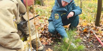В ульяновском парке Победы заложили новую аллею из 80 кедров