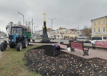 Более 42 тысяч тюльпанов высадят в Ульяновске к следующей весне