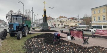 Более 42 тысяч тюльпанов высадят в Ульяновске к следующей весне