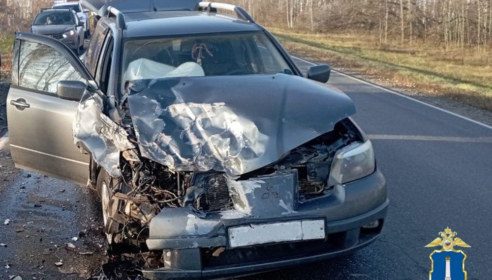 Шестилетняя девочка пострадала в ДТП под Ульяновском