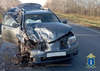 Шестилетняя девочка пострадала в ДТП под Ульяновском