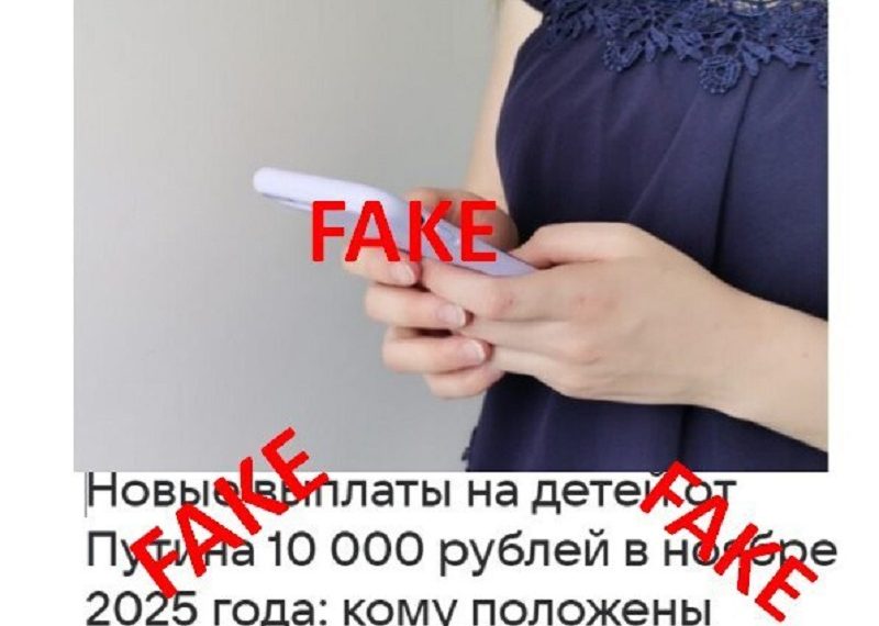 В Ульяновске зафиксирована новая схема мошенничества с «президентскими выплатами»