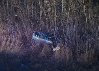 Наезд на собаку привел к опрокидыванию автомобиля на трассе под Ульяновском