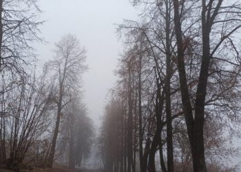 В Ульяновске объявлено штормовое предупреждение из-за тумана