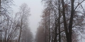 В Ульяновске объявлено штормовое предупреждение из-за тумана