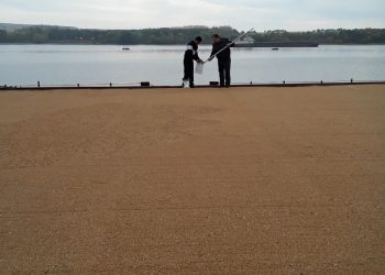 Куда экспортировали ульяновское зерно в 2025 году