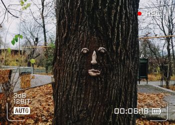 «Владимирский сад» приглашает ульяновцев поохотиться на домовых