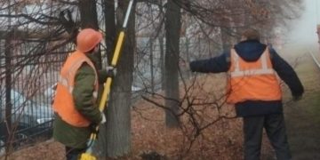 В Киндяковке временно ограничат движение трамваев из-за обрезки веток