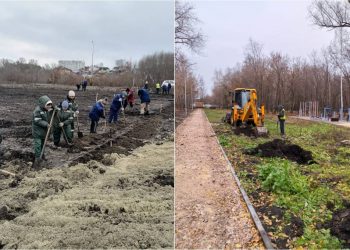Почти 2400 новых зелёных насаждений появятся в Ульяновске до конца осени