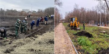 Почти 2400 новых растений высадят в Ульяновске до конца осени