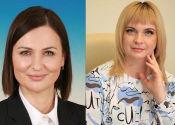 В Госдуме отметили успехи Ульяновской области в части поддержки семей