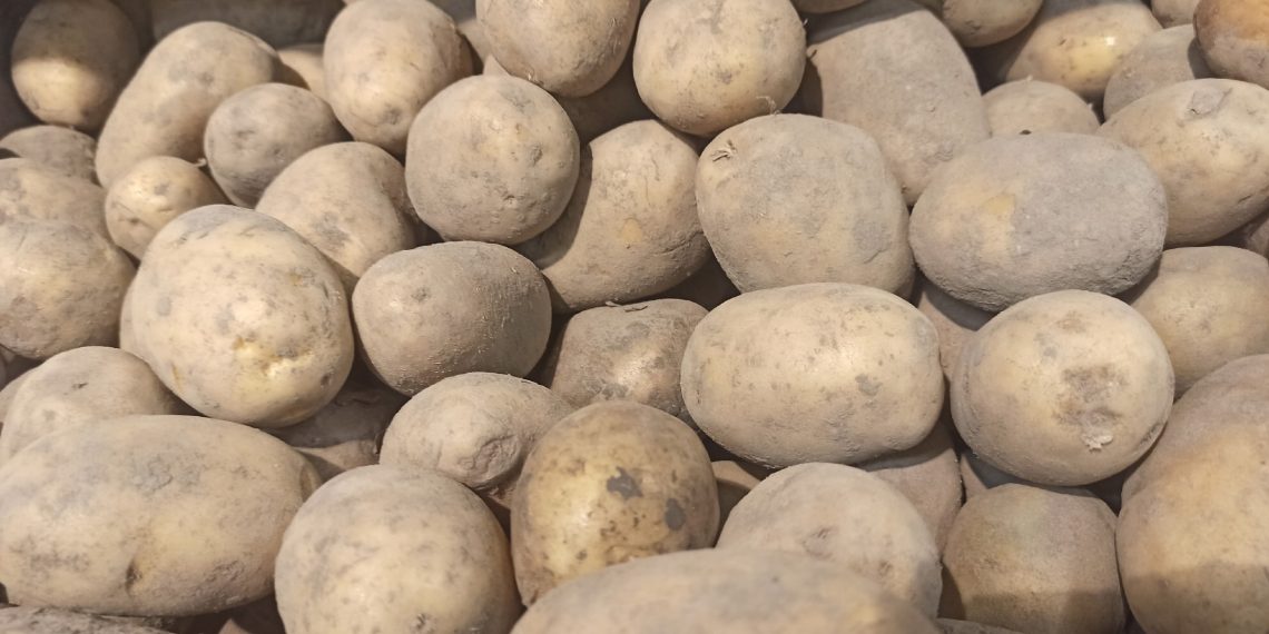 Урожай в Ульяновской области собран на 99%