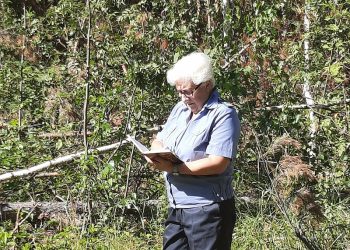 Более 8 000 га заброшенных сельхозземель выявили в Ульяновской области