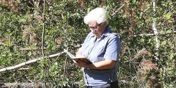 Более 8 000 га заброшенных сельхозземель выявили в Ульяновской области