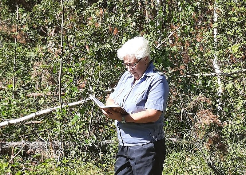 Более 8 000 га заброшенных сельхозземель выявили в Ульяновской области