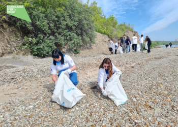 Свыше 70 км берегов очищено в Ульяновской области силами волонтеров