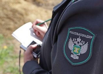 Выявлены нарушения на животноводческих предприятиях Ульяновской области