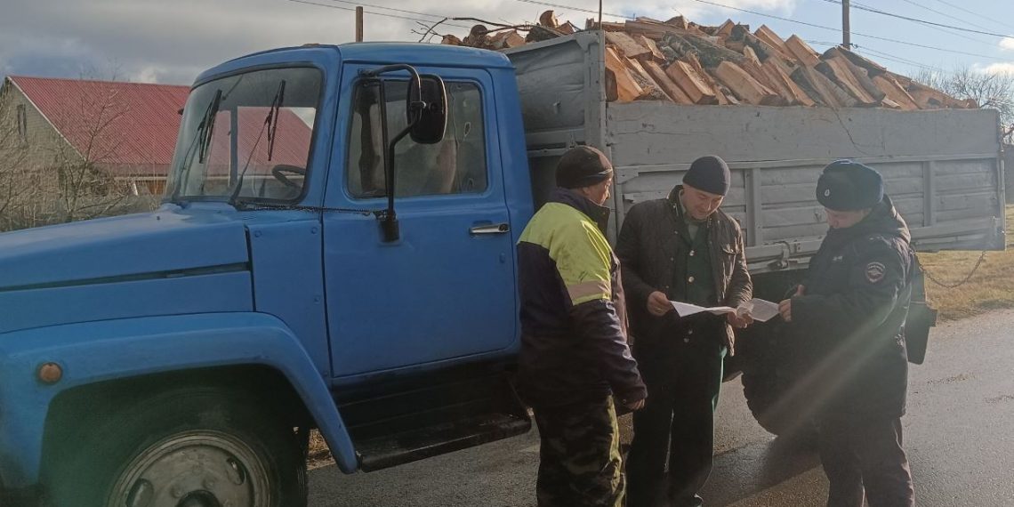 В Ульяновской области стартовала операция против чёрных лесорубов