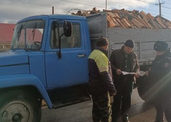 В Ульяновской области стартовала операция против чёрных лесорубов