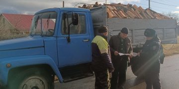 В Ульяновской области стартовала операция против чёрных лесорубов