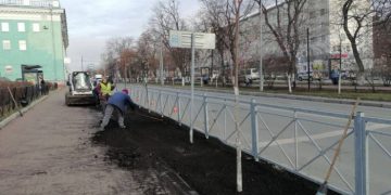 Ульяновск перенял опыт ВДНХ по защите деревьев от зимних реагентов