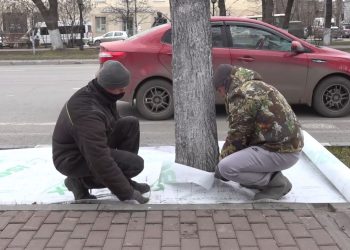 В центре Ульяновска спасают деревья от воздействия реагентов — видео