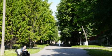 Инвентаризацию зелёных насаждений в Ульяновске продлили на три года